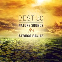 Find Your Center (Morning Raindrops) - Anti Stress Music Zone