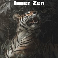 Quiet Nights - Music For Cats & Cat Music & Cats Music Zone