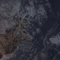 Feels Better - Nocow