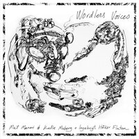 Furtive Song - Mat Maneri & Kalle Moberg & Ingebrigt Håker Flaten