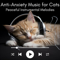 Cosy Comfort Cadence - Cat Music Dreams & Relax My Cat & Cat Music Zone