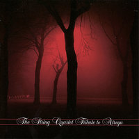 This Flesh a Tomb - Vitamin String Quartet