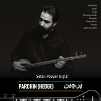 Hesār Zarbi - Pooyan Biglar