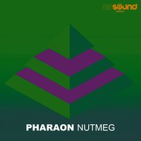 Competitor - PHARAON
