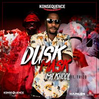 Dusk Mask - Mr Khool & TrizO
