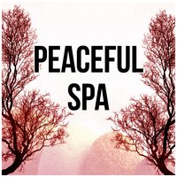Reiki Massage Music - Tranquility Day Spa Music Zone