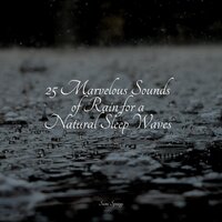 Forest, Busy, Animals - Deep Horizon Waves & Rest & Relax Nature Sounds & Natureza