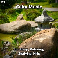 Calm Music Pt. 39 - Calm music & Relaxing music & Yoga