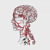 Circulation - Black Loops