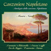A città 'e pulecenella - Mauro Nardi