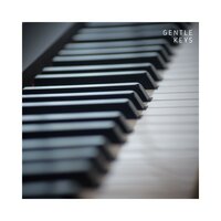 Velvet Echoes - Piano Melody Masters