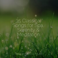 Dreams of You - Meditation & Ambiente & Academia de Música para Massagem Relaxamento