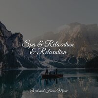 The Gift of Music - Musica Relaxante & Spa Music Collective & Anxiety Relief