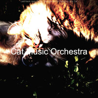 Background for Resting Cats - Cat Music Orchestra