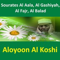 Sourate Al Balad - Sheikh Al Oyoun Al Koshi