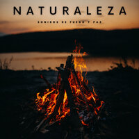 Crujido De Fuego - Naturaleza FX & Ondas Alfa & Música de concentración profunda