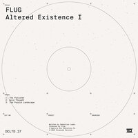 The Purple Landscape - Flug