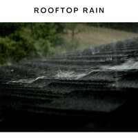 Rainy Rooftop - ASMR Earth
