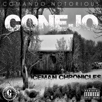 Turn Around - Conejo