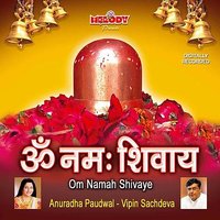 Om Nama Shivaye - Vipin Sachdeva