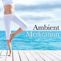 Take the Waterways (Relaxing Music With Sounds of Nature) - Zen Meditation Music and Natural White Noise and New Age Deep Massage & Traditional Chinese Music Academy & Traditional Chinese Music Academy & Zen Meditation Music and Natural White Noise and New Age Deep Massage