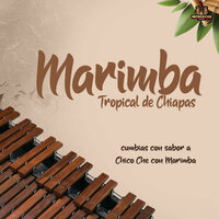 Mi Novia Se Baña En El Rio - Marimba & Marimba Tropical De Chiapas