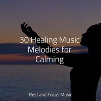 Surfing - Natureza Musica Bem-Estar Academia & Tinnitus Aid & Relax Meditation Sleep