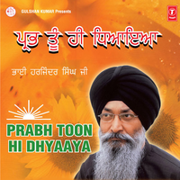 Thandh Payi Kartaare - Bhai Harjinder Singh Ji