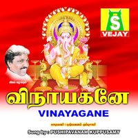 Thodungukindra - Pushpavanam Kuppuswamy