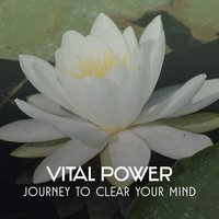 Calming Garden Sounds - Reiki Healing Zone