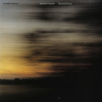 The Haze Of The Frost - Edward Vesala & Edward Vesala Sound & Fury & Sound & Fury