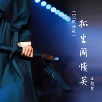 孤生闯情关 - 王超然