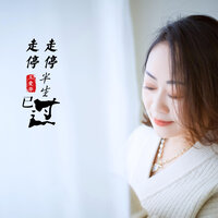 走走停停半生已过 - 王爱华