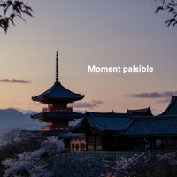 Dreamy Recorder - Oasis de Sommeil & Douce détente academie & Zen méditation tibétaine