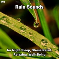 Splendid Rain Sounds - Rain Sounds & Yoga Music & Rain Sounds by Angelika Whitta