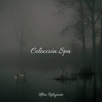 Calma Cósmica - Música para Massagem Especialistas & Musica Relajante Para Estudiar & Natureza