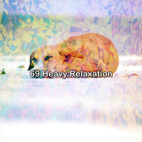 Fields Of Harmony - Soothing White Noise for Relaxation