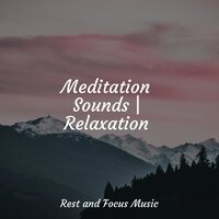 Cloudy Rays - Sleep Waves & Musica Reiki & Tinnitus
