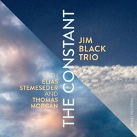 Bill - Jim Black Trio & Elias Stemeseder & Thomas Morgan