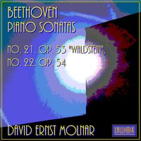 Piano Sonata No. 22 in F Major, Op. 54: I. "In Tempo D'un Menuetto" - David Ernst Molnar & Ludwig van Beethoven