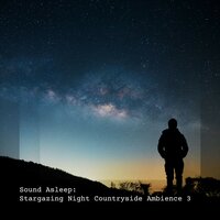 Stargazing Night Countryside Ambience, Pt. 20 - Elijah Wagner