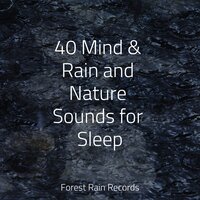 Park, Birds, Insects, Busy, Calm Wind - Rain Sounds & Sound of Rain & Ambient Music Therpy