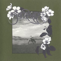 A Fire In The Forest - David Sylvian