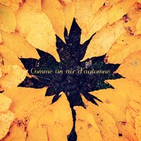 Seashore Introspection - Relaxation Détente & Musique Relaxante & Musique Zen
