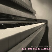 Pour les petits riens - Marc Goonetilleke