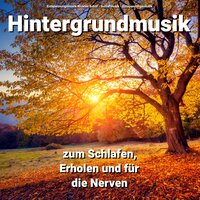 Meditationsmusik - Entspannungsmusik Nicklas Schul & Schlafmusik & Entspannungsmusik