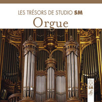 Concerto del Signor Meck in B Minor, LV 133: I. Allegro - Dominique Ferran