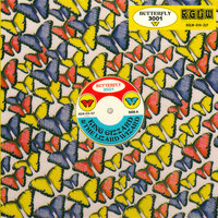 Blue Morpho - King Gizzard & The Lizard Wizard & Mall Grab