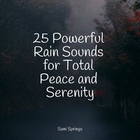 Waves by the Rocks - Calm shores & Weather Sounds & Loopable Rain