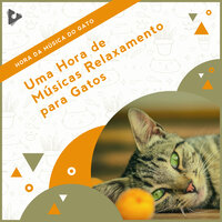 Piano relaxante para ansiedade - Hora da Música do Gato & Música Relaxante para Gatos & Música de Gatinhos Calmante